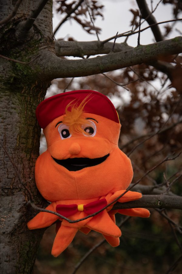 Otto de Octopus & handleiding in de kinderopvang - Afbeelding 7