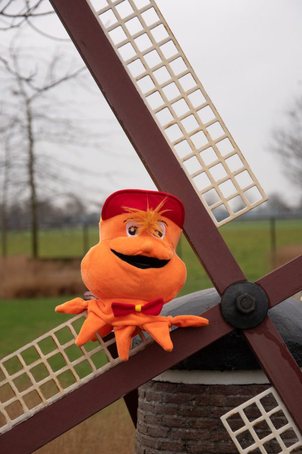 Otto de Octopus & handleiding in de kinderopvang - Afbeelding 8