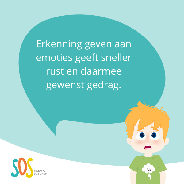 Introductie workshop SOS Kinderen en Emoties - Afbeelding 4